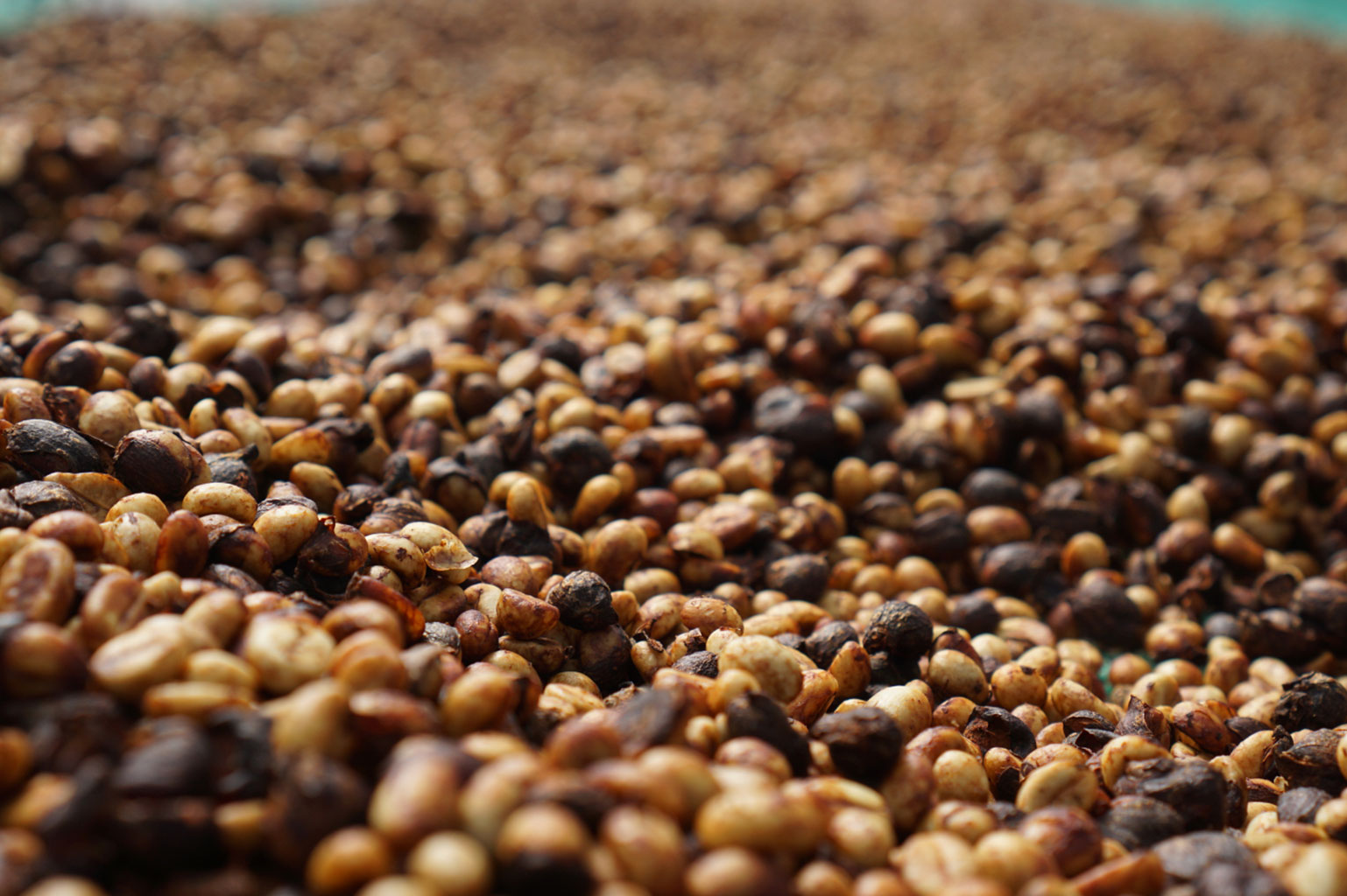 mibica-commodities-coffee-product-image