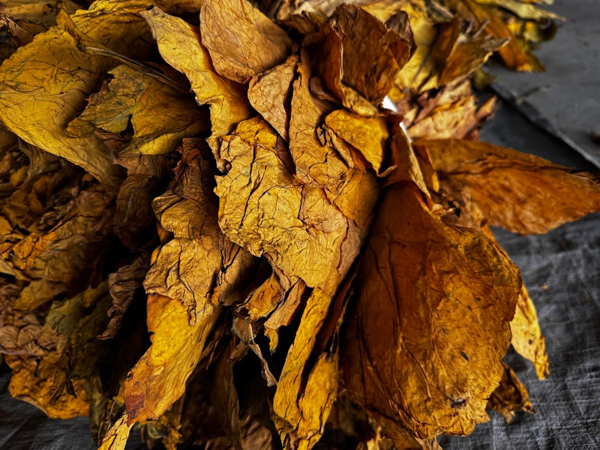 mibica-commodities-tobacco-product-image