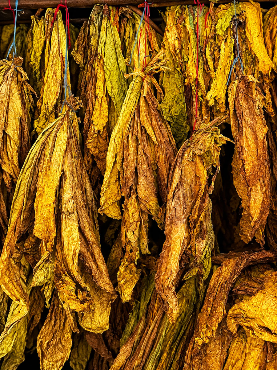 mibica-commodities-images-about-slide-902603